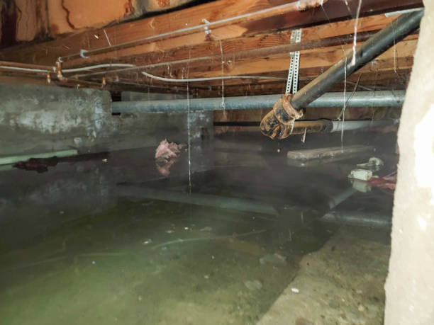 Best Emergency water damage restoration  in Englewood Cliffs, NJ