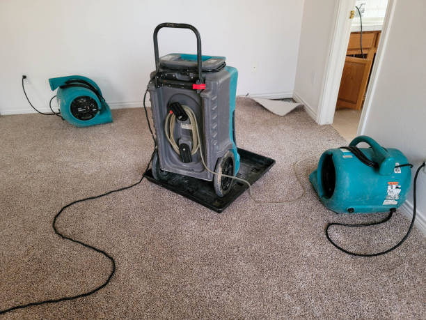 Best Water damage restoration specialists  in Englewood Cliffs, NJ