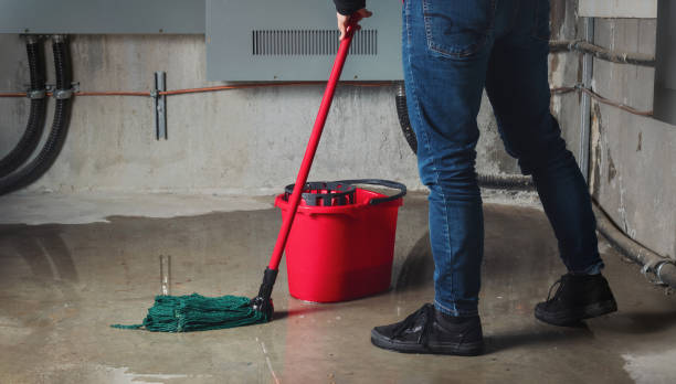 Best Carpet water damage restoration  in Englewood Cliffs, NJ