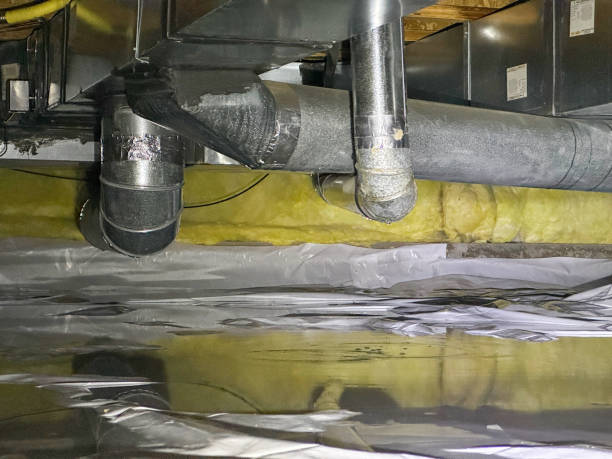 Best Water damage cleanup near me  in Englewood Cliffs, NJ
