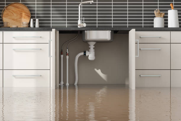 Best Water damage cleanup near me  in Englewood Cliffs, NJ