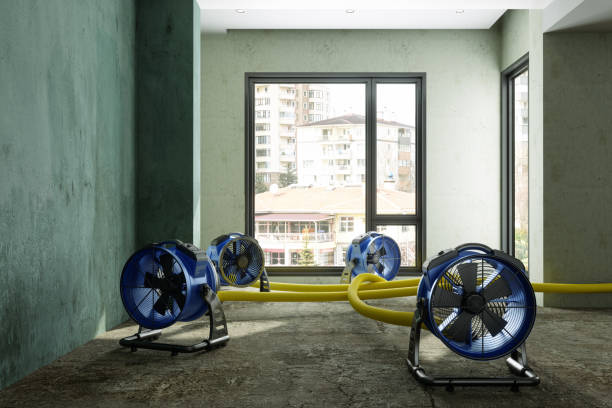 Best 24/7 water damage repair  in Englewood Cliffs, NJ